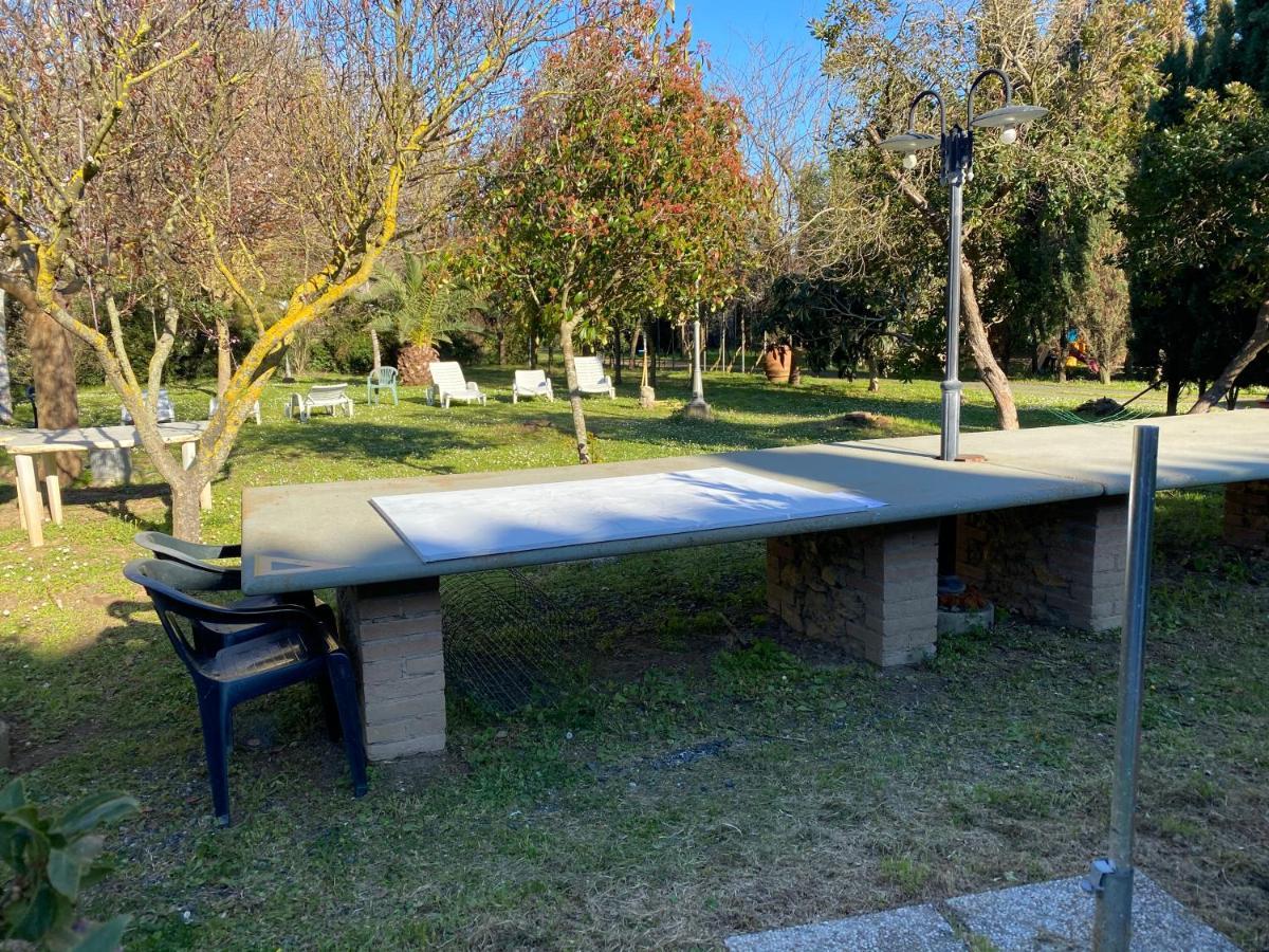 Agriturismo Le Biricoccole Vada Exterior photo